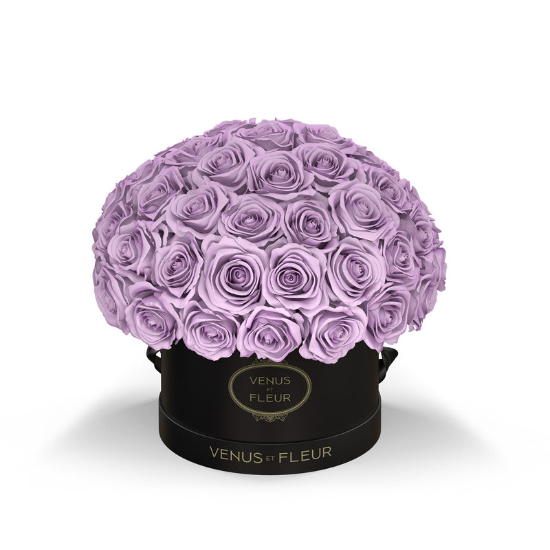 Small Le Plein Black Classic Roses