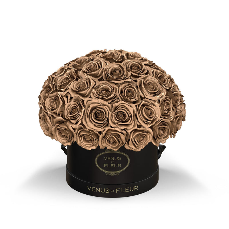 Small Le Plein Black Classic Roses