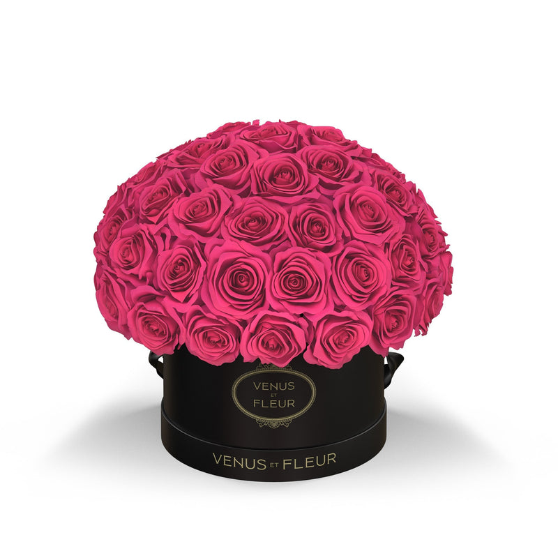 Small Le Plein Black Classic Roses