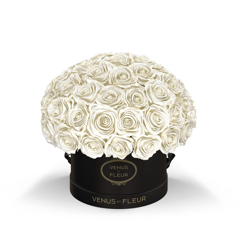 Small Le Plein Black Classic Roses