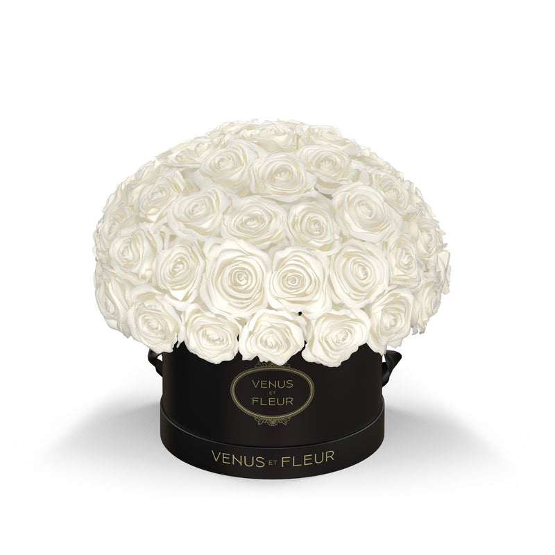 Small Le Plein Black Classic Roses