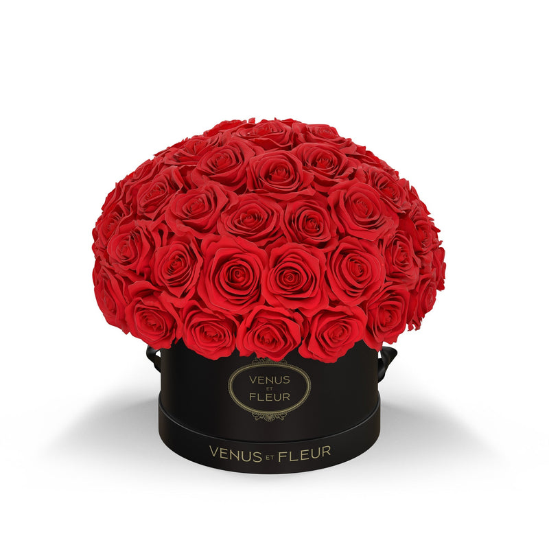 Small Le Plein Black Classic Roses