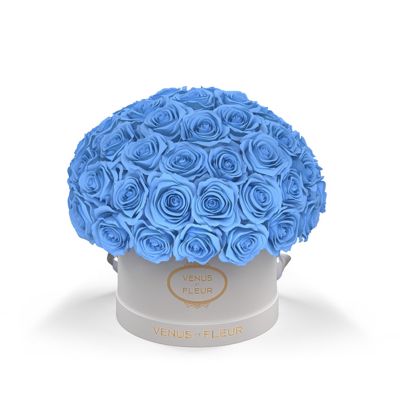 Small Le Plein White Classic Roses