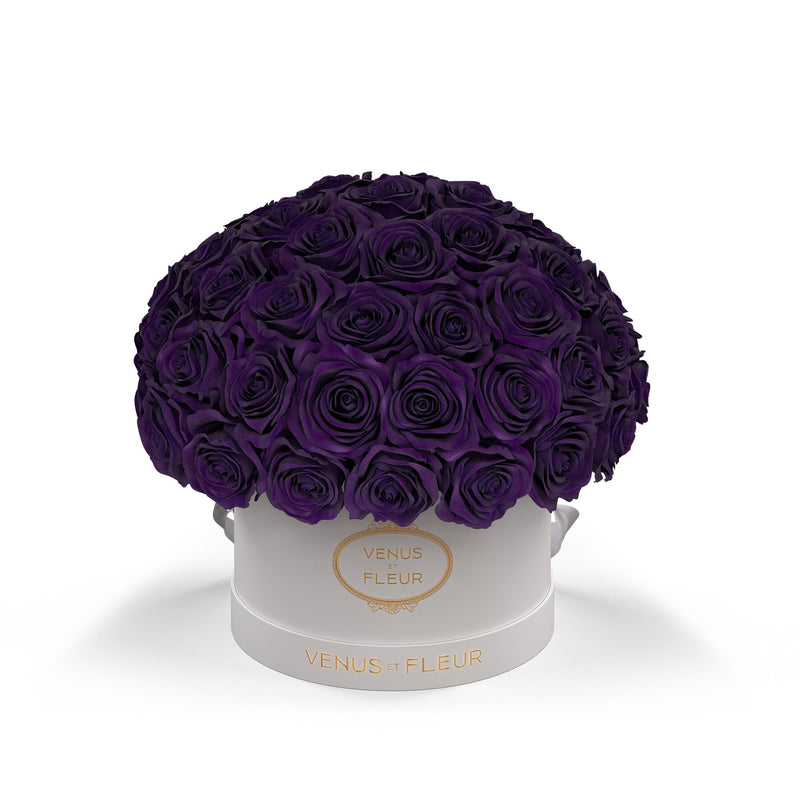Small Le Plein White Classic Roses