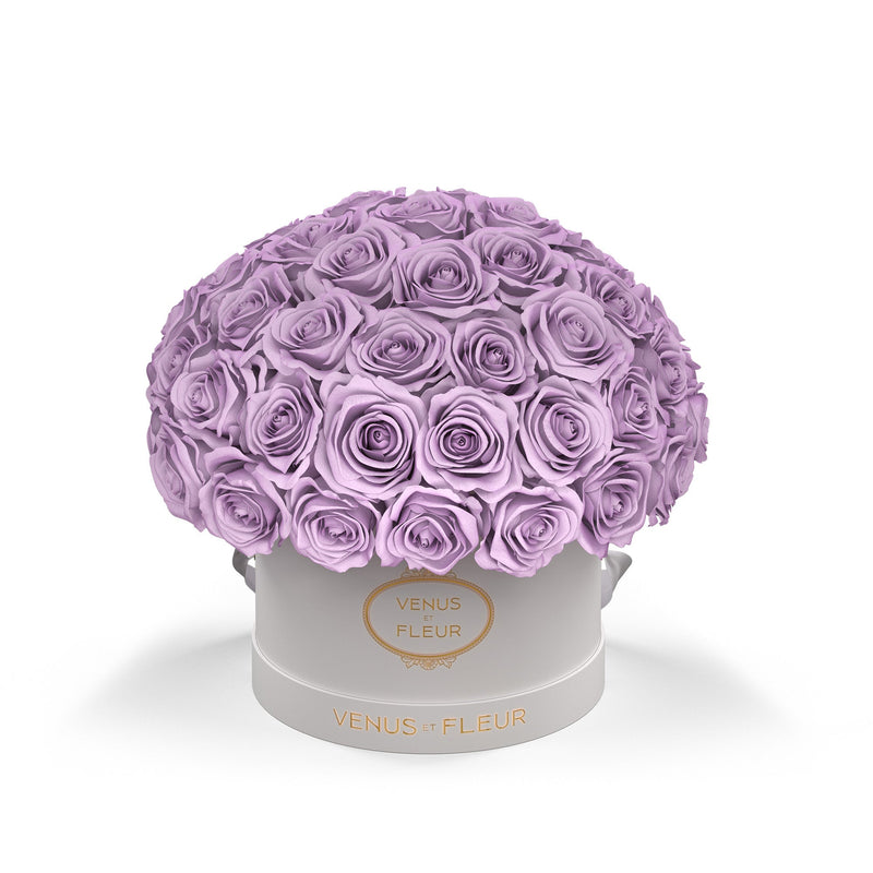 Small Le Plein White Classic Roses