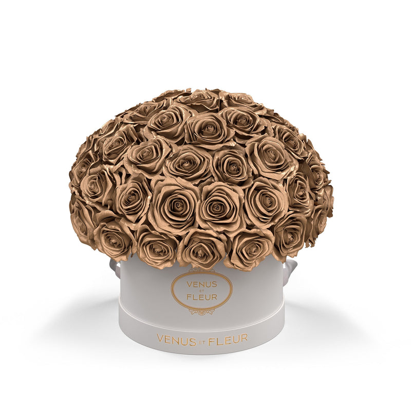 Small Le Plein White Classic Roses