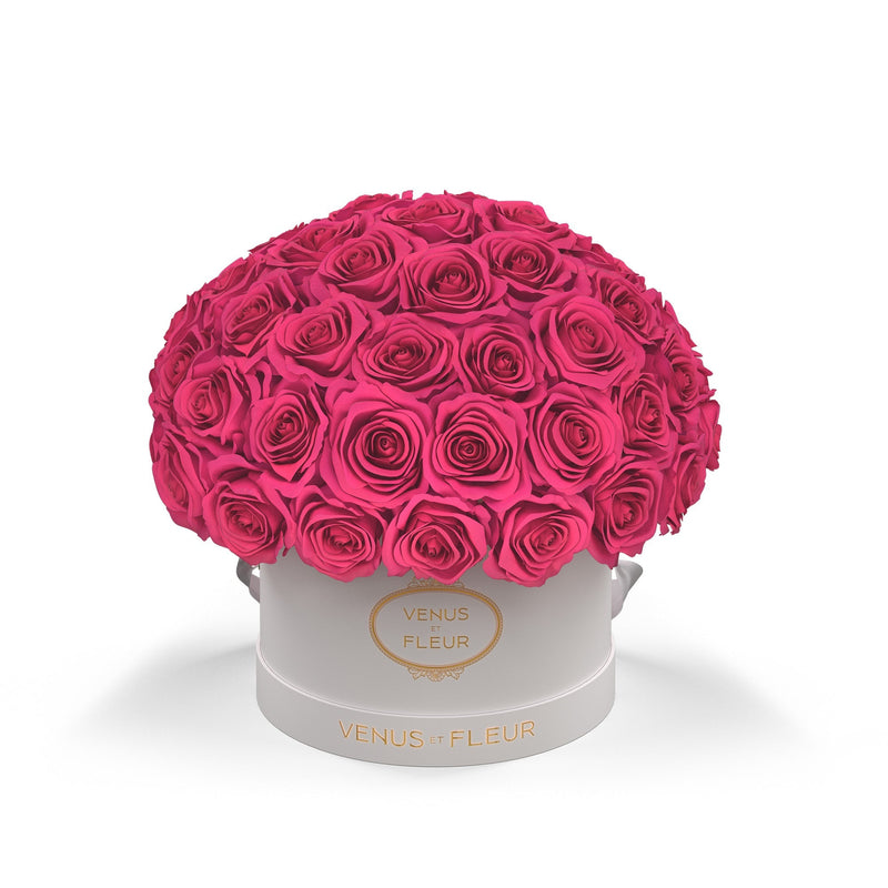 Small Le Plein White Classic Roses