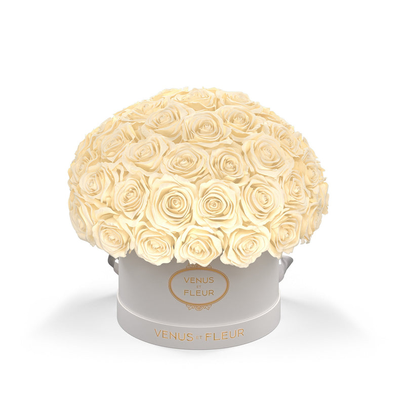 Small Le Plein White Classic Roses