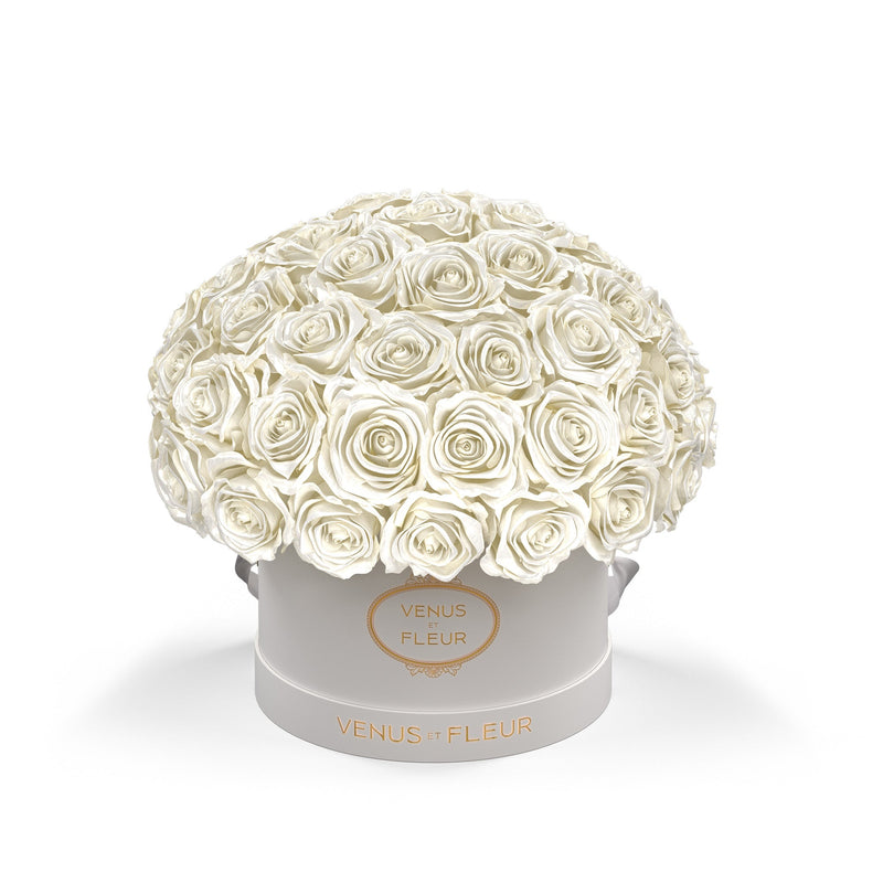 Small Le Plein White Classic Roses