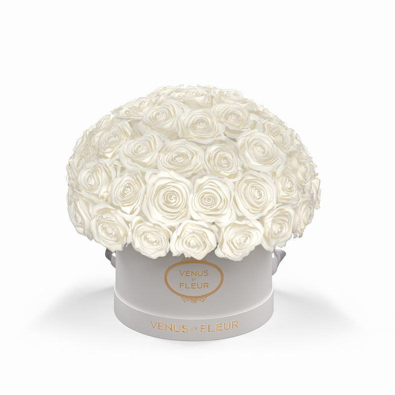 Small Le Plein White Classic Roses