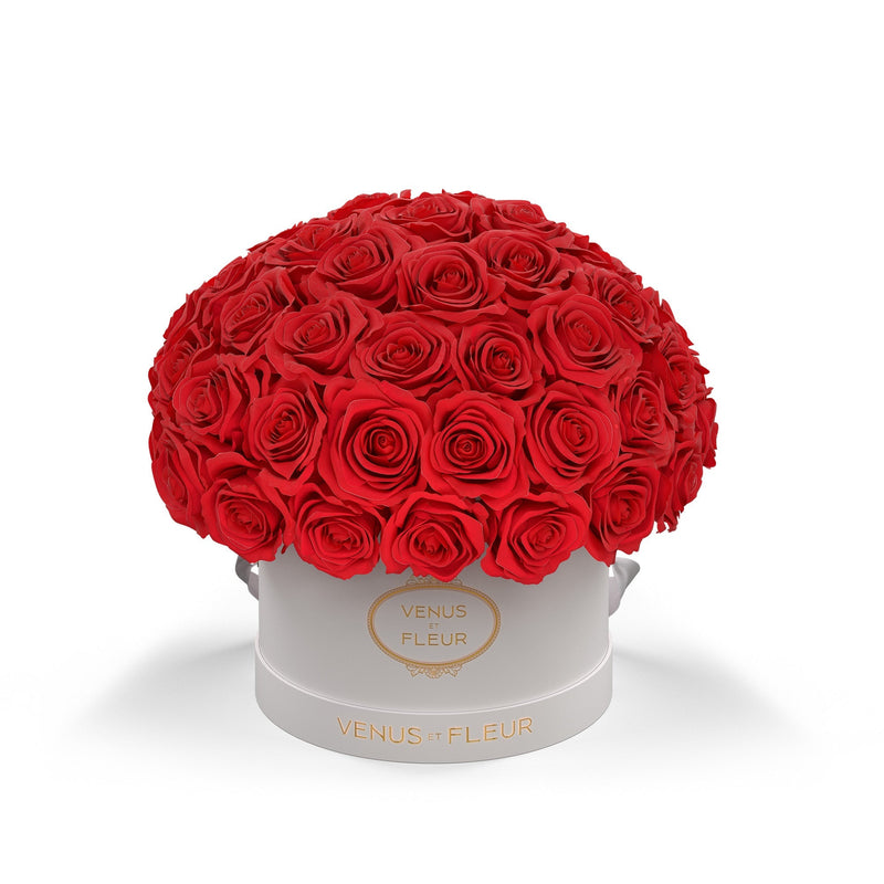 Small Le Plein White Classic Roses