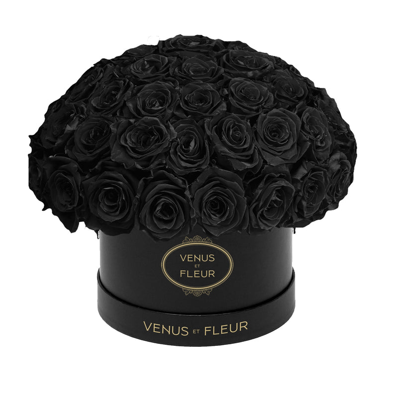 Small Le Plein Black Classic Roses