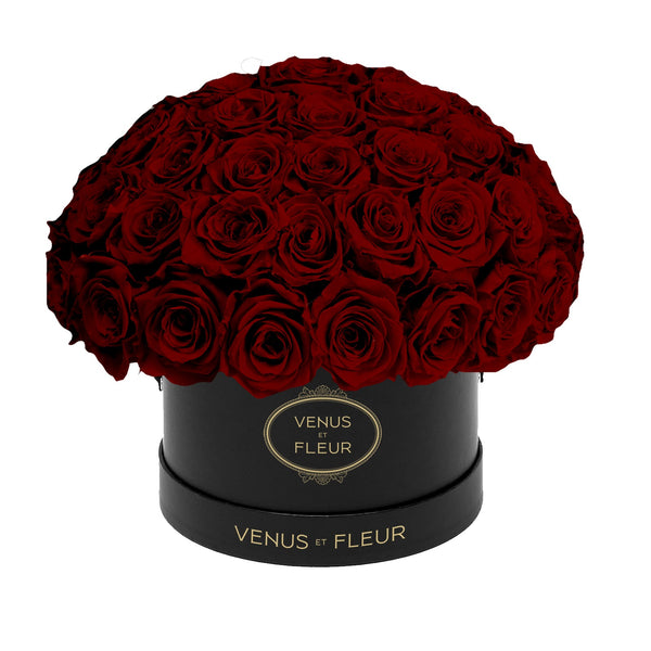 Small Le Plein Black Classic Roses