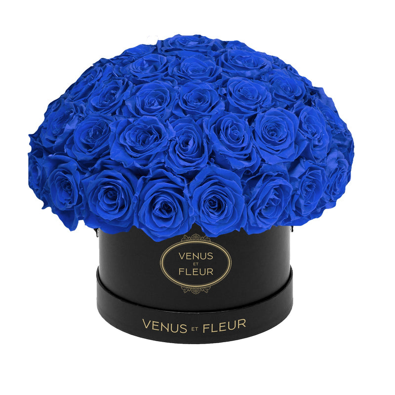 Small Le Plein Black Classic Roses
