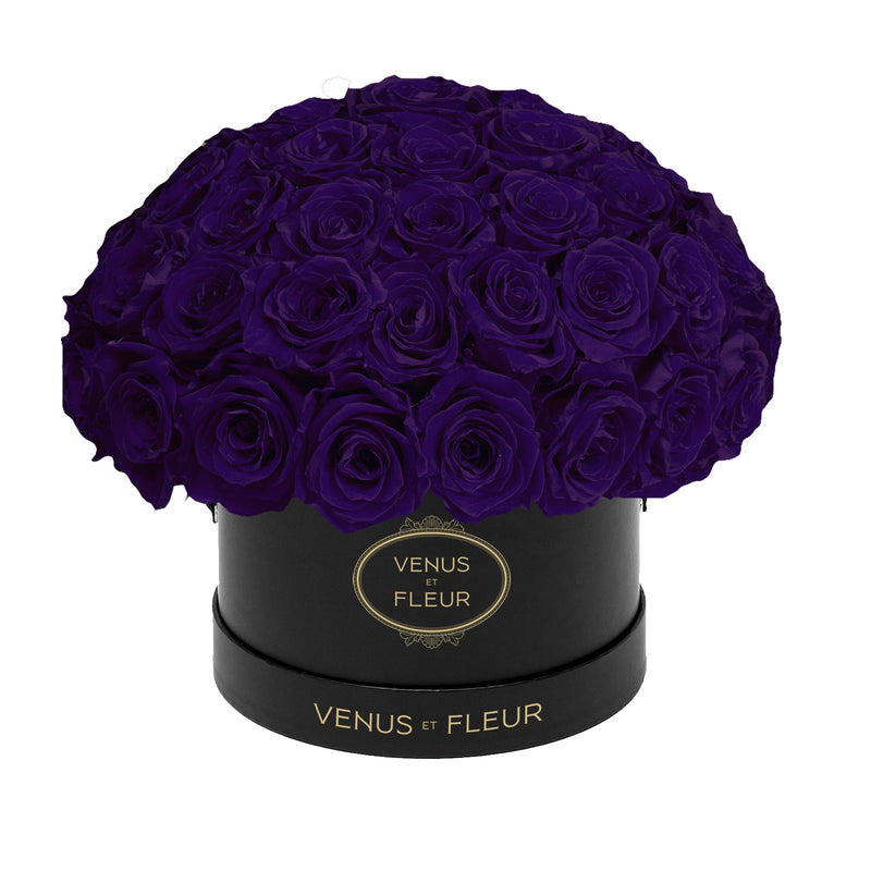 Small Le Plein Black Classic Roses