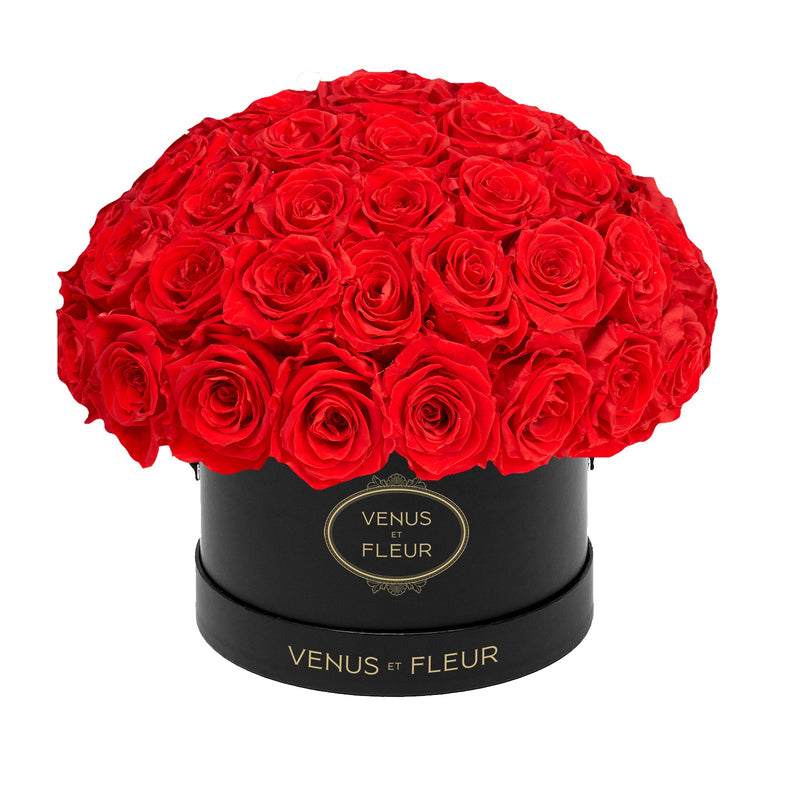 Small Le Plein Black Classic Roses