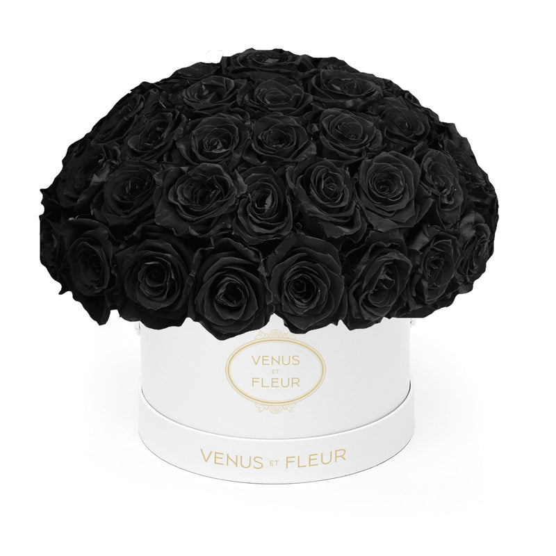 Small Le Plein White Classic Roses