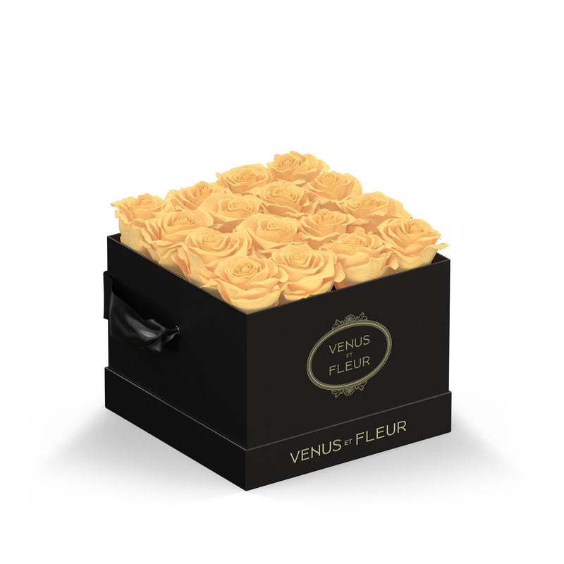 Small Square Black Classic Roses