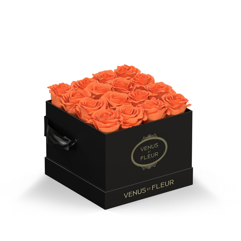 Small Square Black Classic Roses