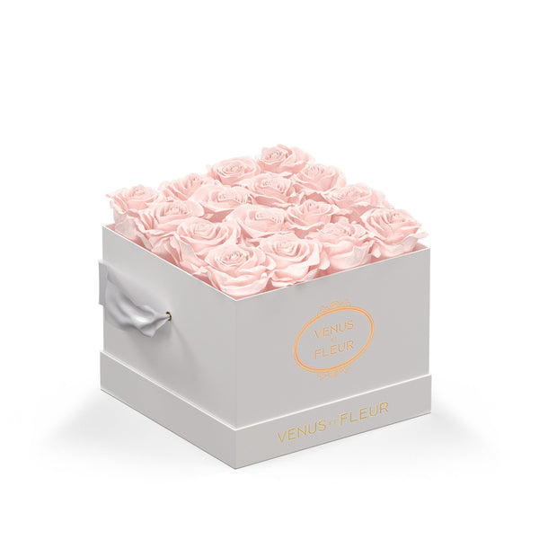 Small Square White Classic Roses