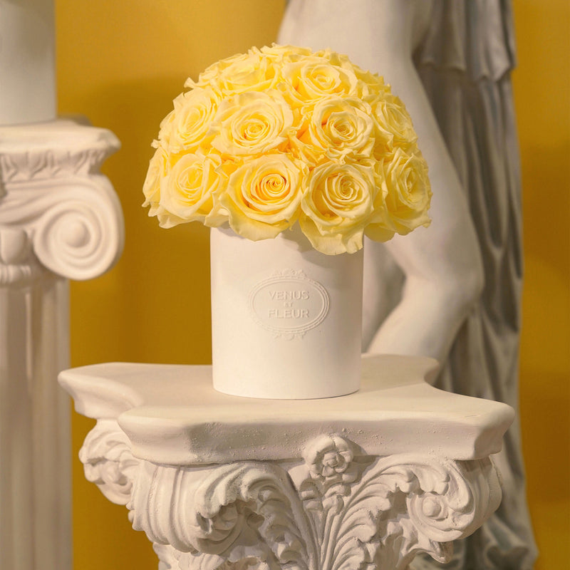 Fleura Porcelain Vase Roses