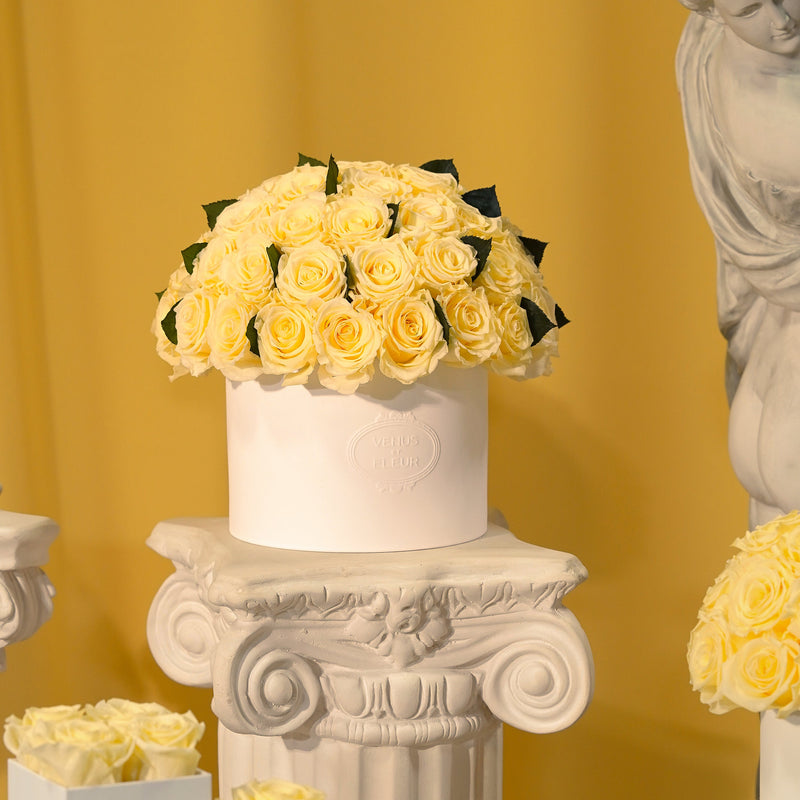 Yellow roses arranged in a white vase embossed with 'VENUS ET FLEUR' placed on a decorative white pedestal against a yellow background.