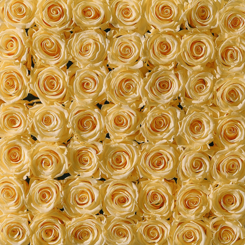 Large Round Black Classic Roses