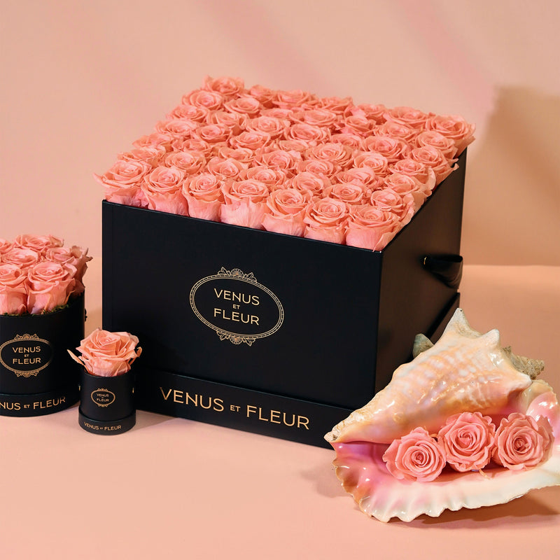 Large Square Black Classic Roses
