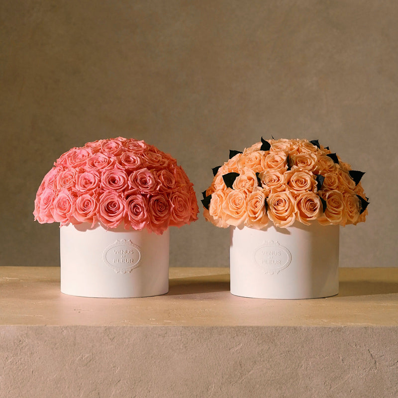 Two round flower arrangements in white cylindrical boxes labeled 'VENUS ET FLEUR', one with pink roses and the other with peach roses and dark green leaves, on a beige surface with a neutral background.
