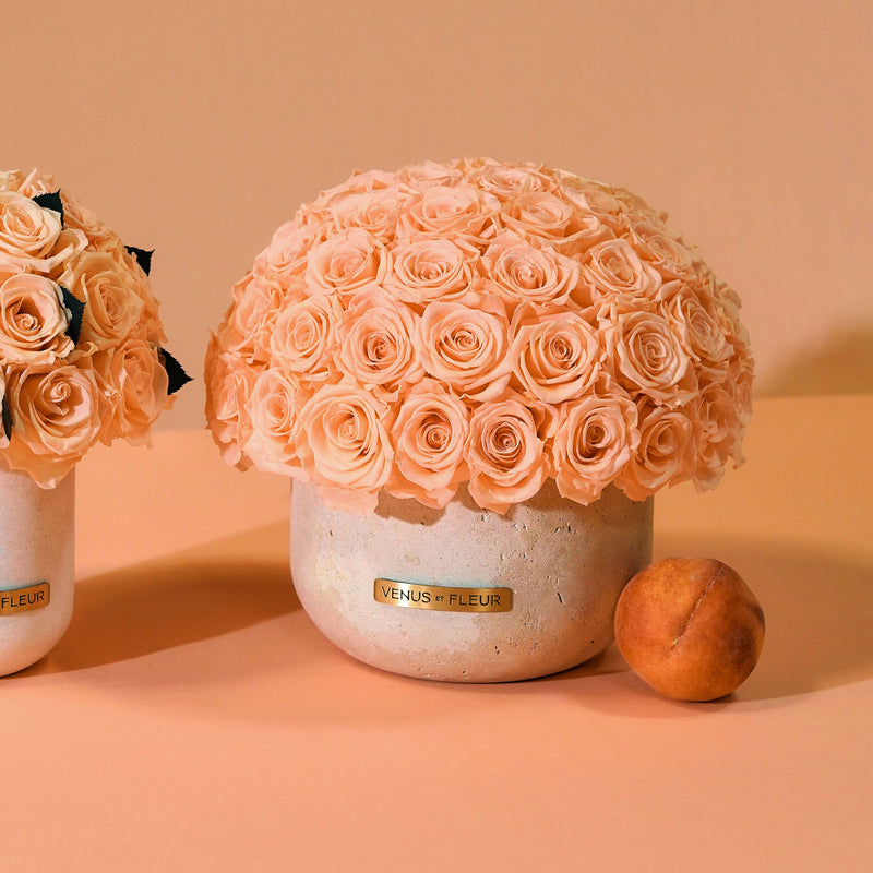 Terre Travertine Vase Roses
