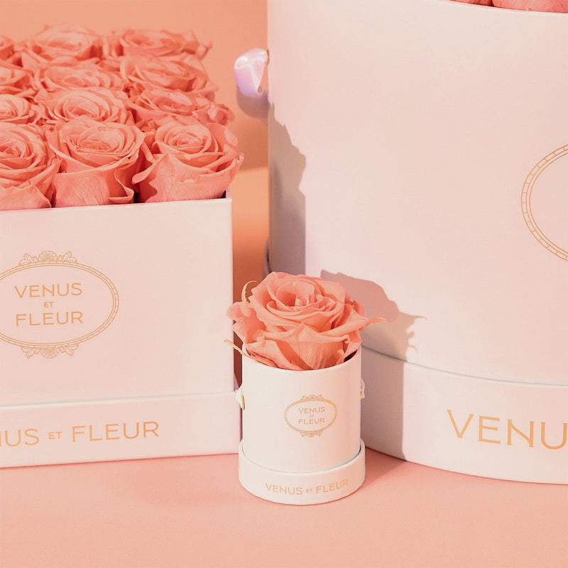 Le Mini Round White Classic Roses