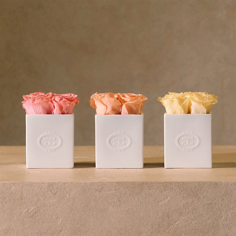 Sylvie Porcelain Vase Roses
