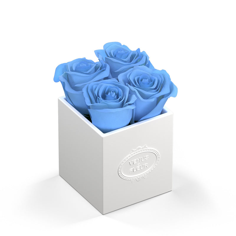 Sylvie Porcelain Vase Roses