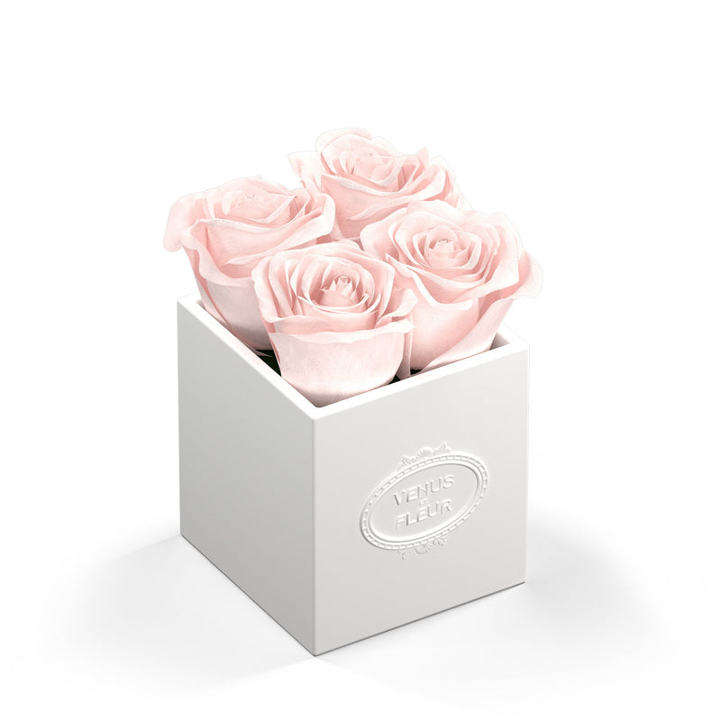 Sylvie Porcelain Vase Roses