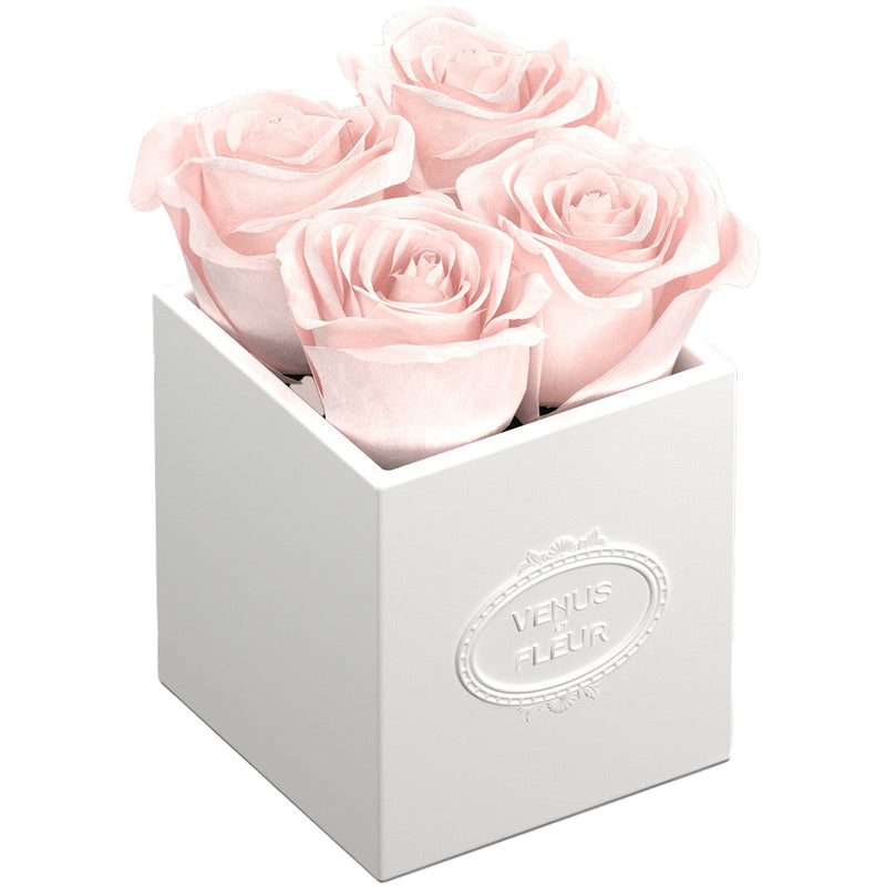 Sylvie Porcelain Vase Roses