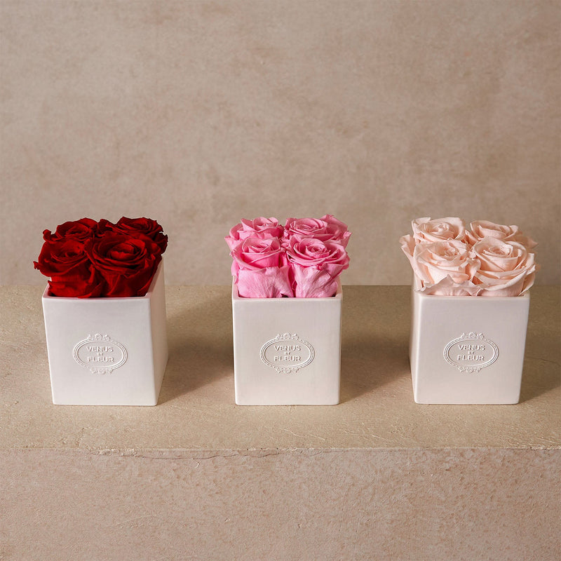 Sylvie Porcelain Vase Roses