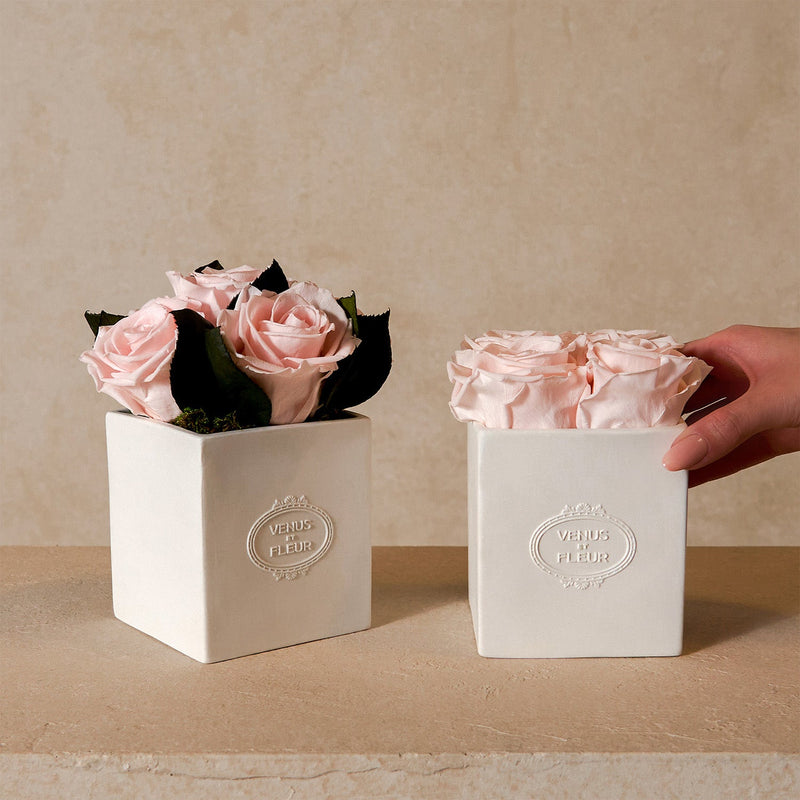Sylvie Porcelain Vase Roses