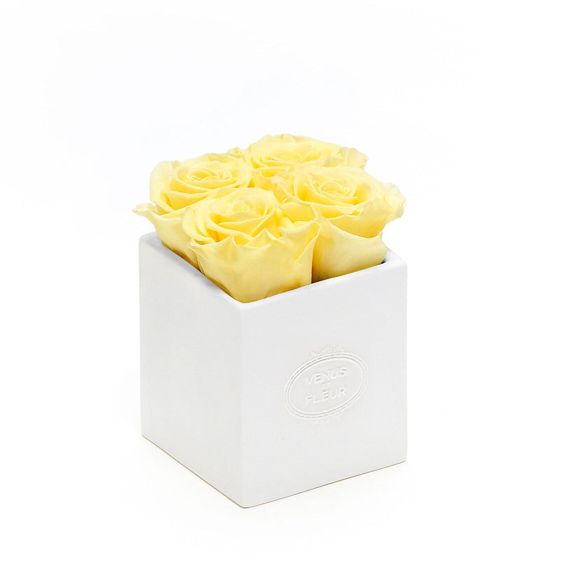 Sylvie Porcelain Vase Roses
