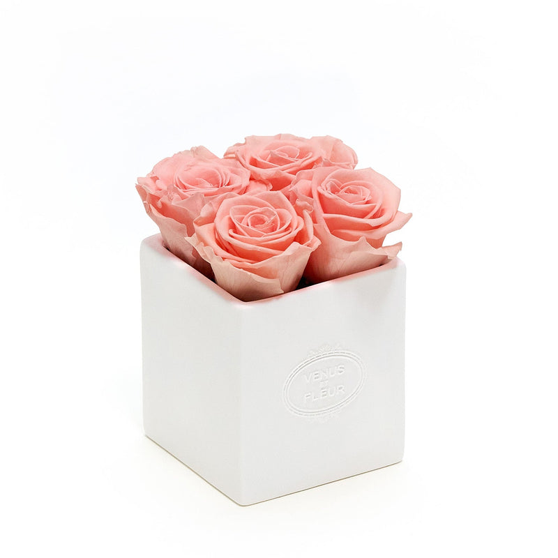 Sylvie Porcelain Vase Roses