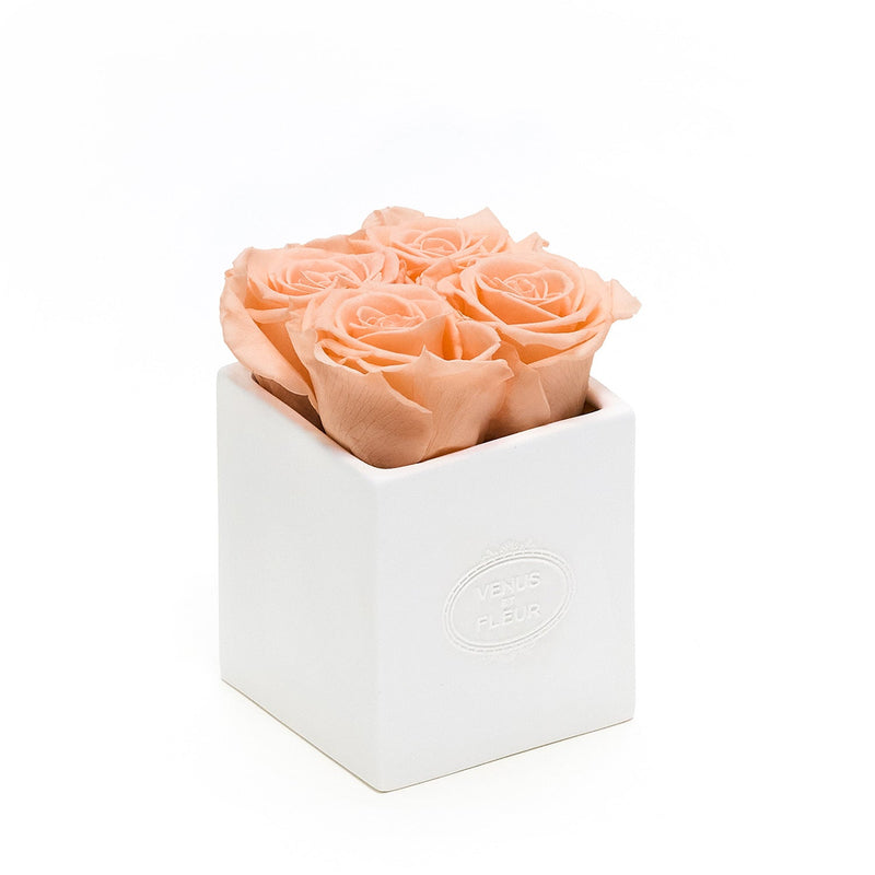 Sylvie Porcelain Vase Roses