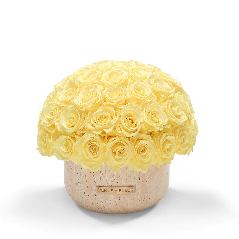 Terre Travertine Vase Roses