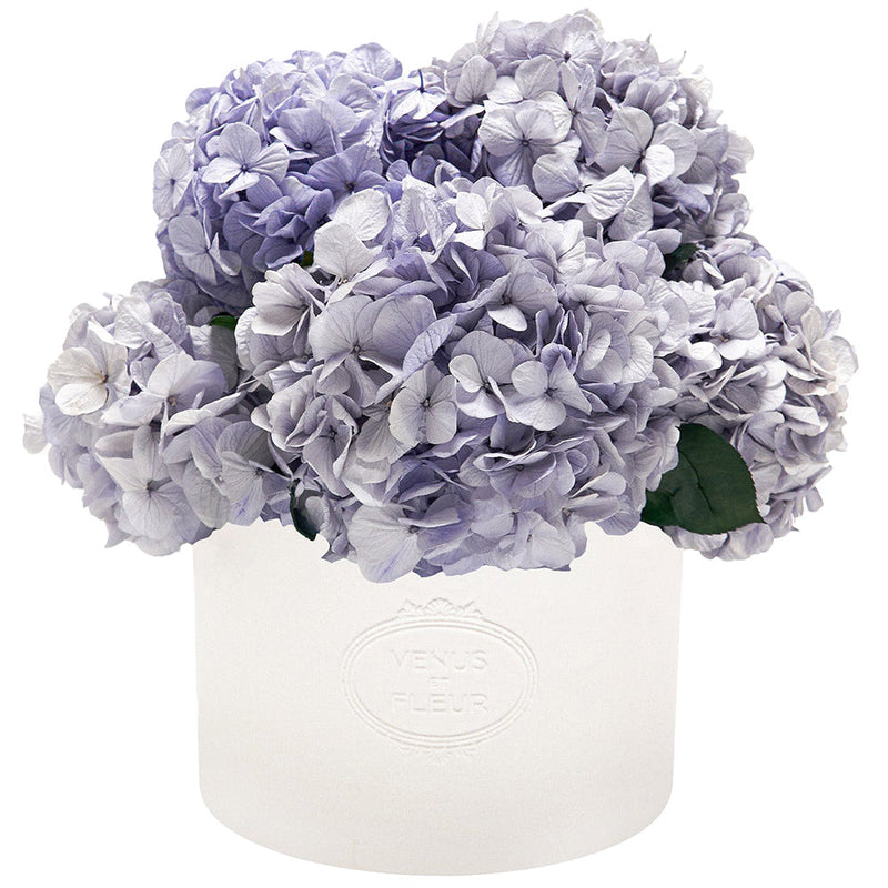 Thalia Porcelain Vase Hydrangeas
