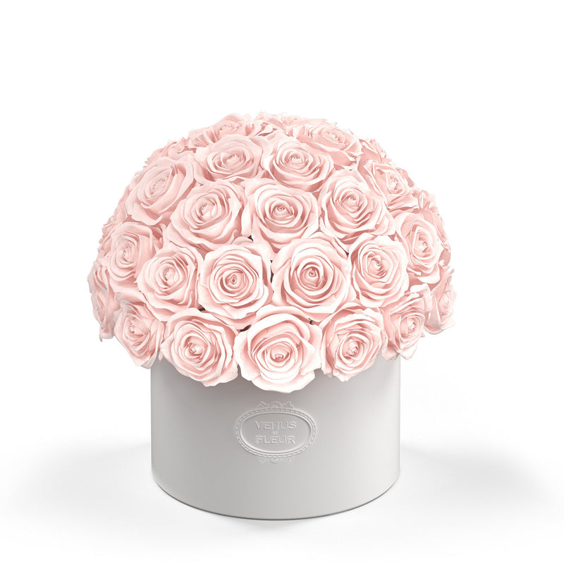 Bouquet of pale pink roses arranged in a white round box embossed with 'VENUS ET FLEUR'
