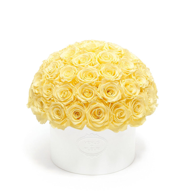 Thalia Porcelain Vase Roses