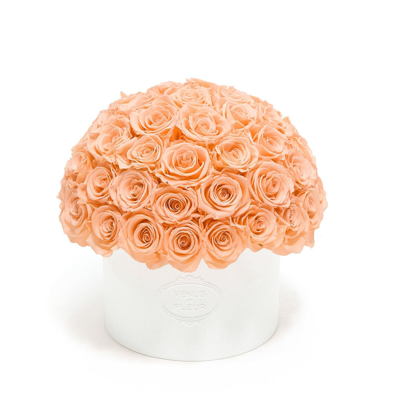 Thalia Porcelain Vase Roses