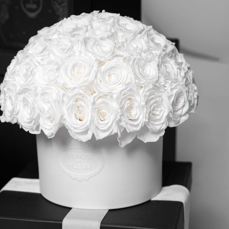 Bouquet of white roses in a round container labeled 'VENUS ET FLEUR'