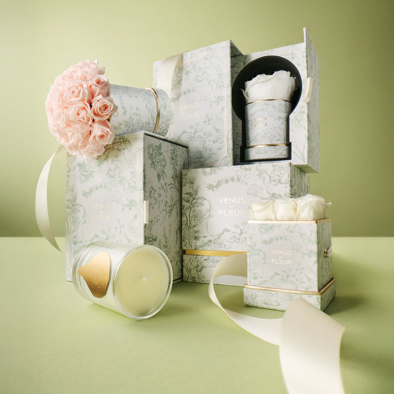 Toile du Joie Bundle Set