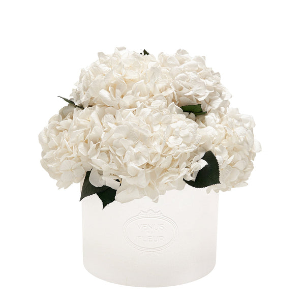 Thalia Porcelain Vase Hydrangeas
