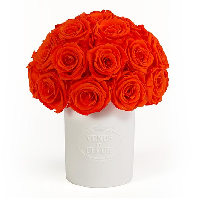 Fleura Vase with Eternity® Roses