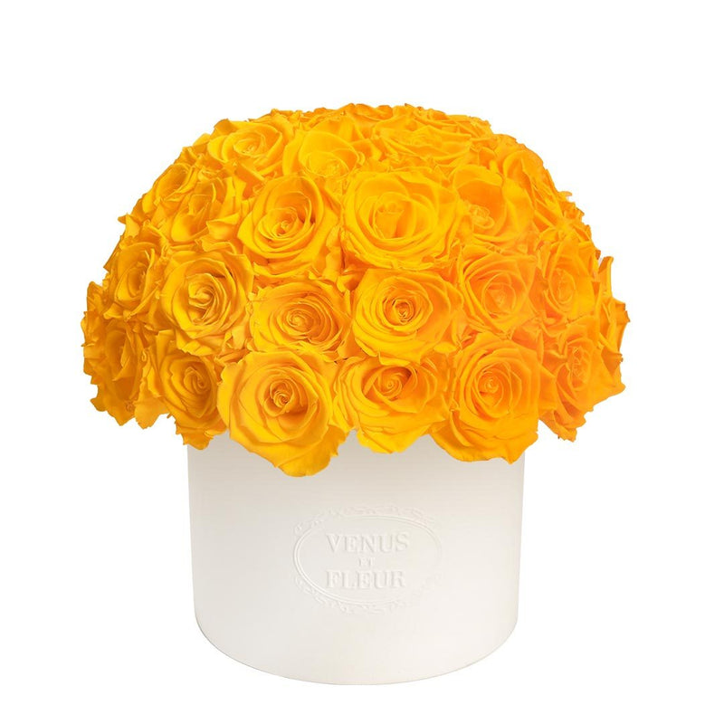 Thalia Vase with Eternity® Roses